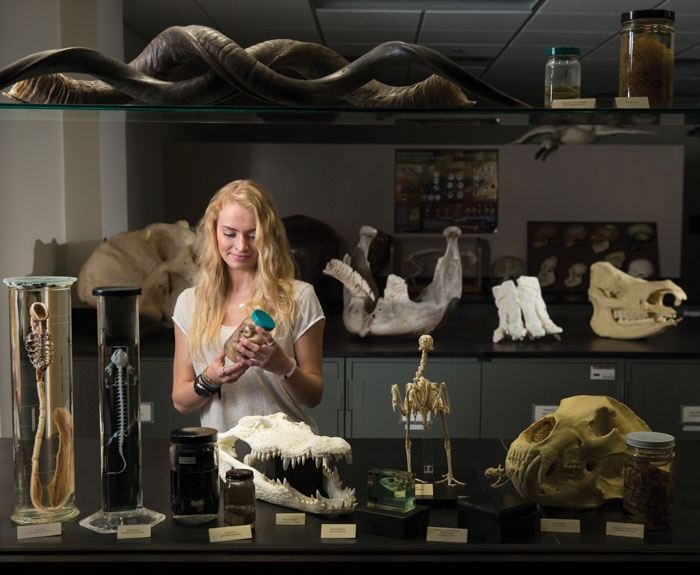 Jessica Vogt examines a specimen in the Zoology Preparation Area on the first floor of the building.